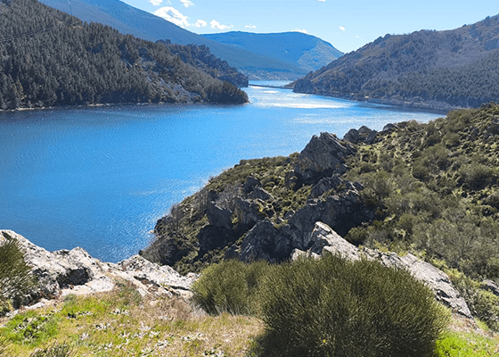 Velilla del Río Carrión se incorpora a la red de parques micológicos de Castilla y León
