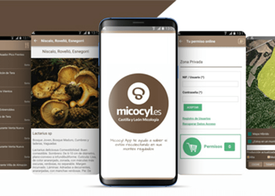 El Parque Micológico ‘Velilla del Río Carrión’ inicia hoy la venta de permisos de recolección micológica